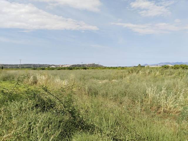 Terreno residencial en Venta en Vall Farta La en Càrcer