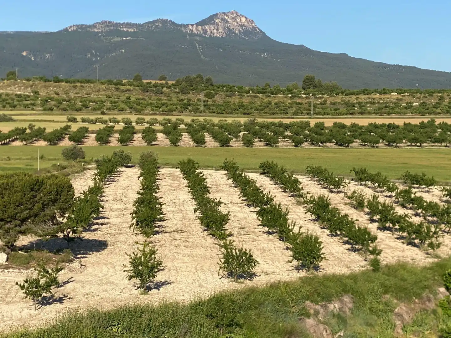 Villa à vendre à Moratalla, imagen 4
