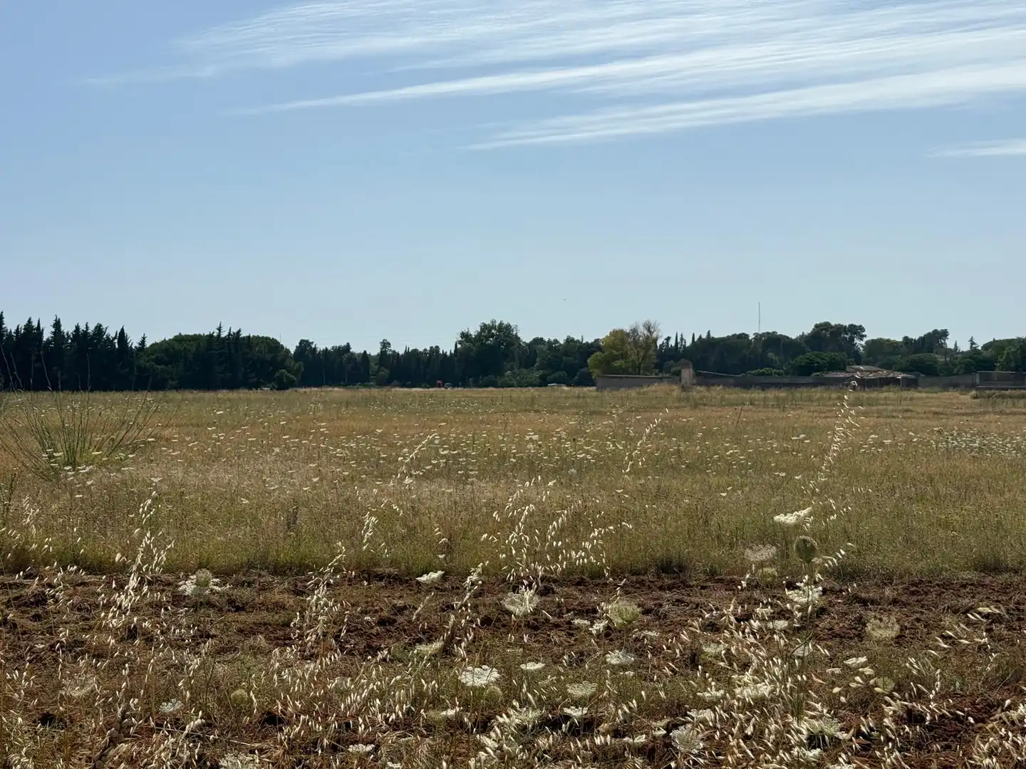 Wohnbaugrundstück zum Verkauf in Camino de Montealegre Alto, imagen 5