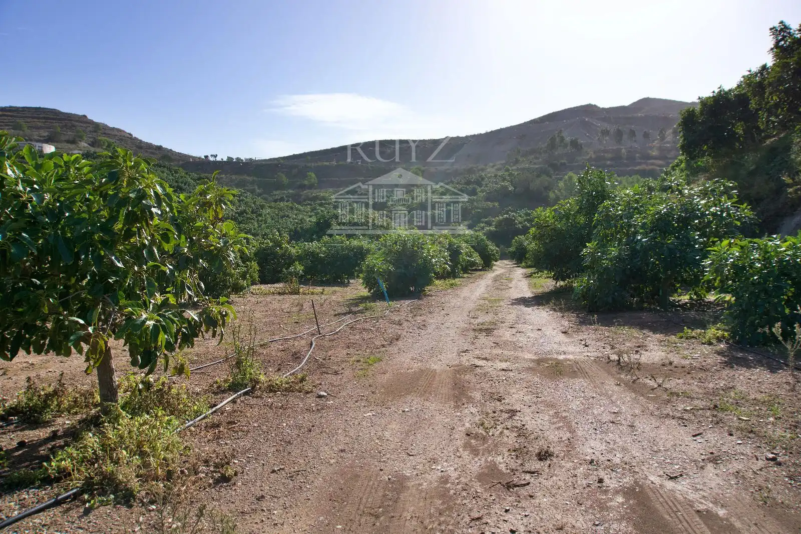 Terreni e lotti in vendita a Barranco del Inglés, imagen 45