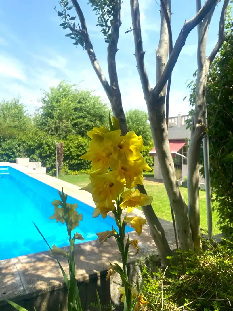 Villa avec piscine à vendre à Calle Fuente Serena, imagen 3