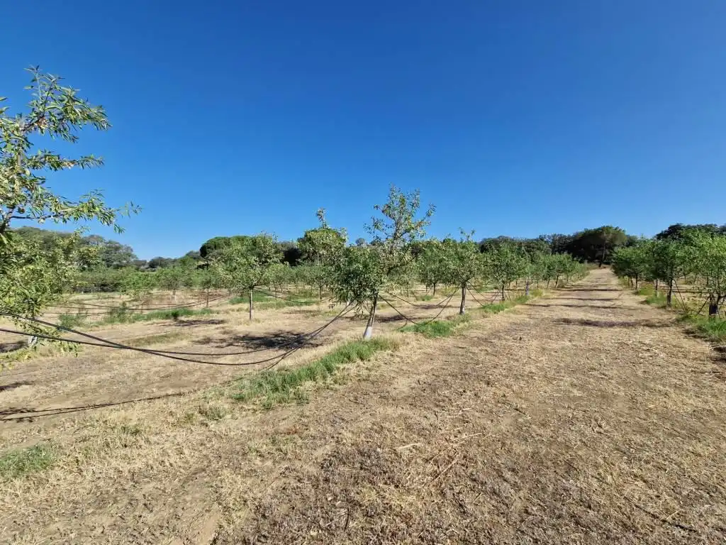 Terreno en venta en Binaced