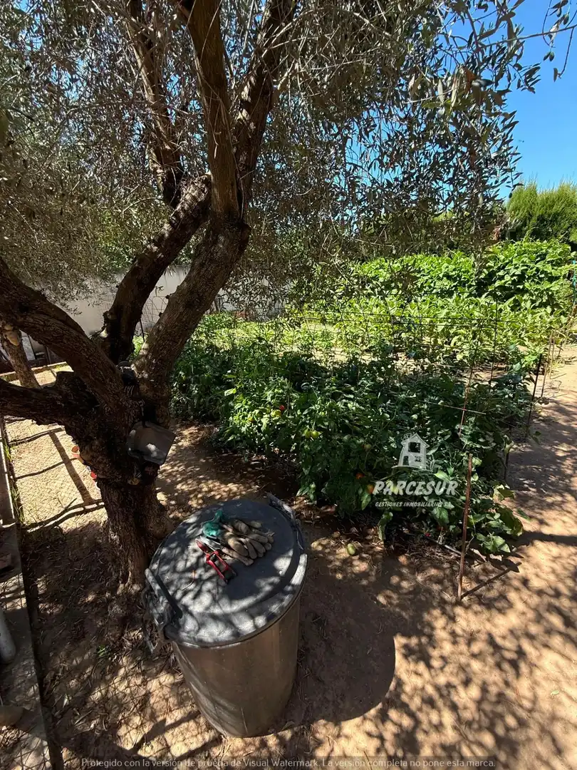 Haus mit Pool zum Verkauf in Almodóvar del Río, imagen 45