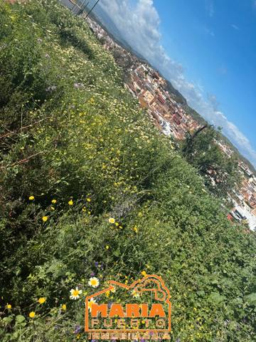 Terreno residencial en Venta en Fuente Alegre - El Chaparral - Los Morales