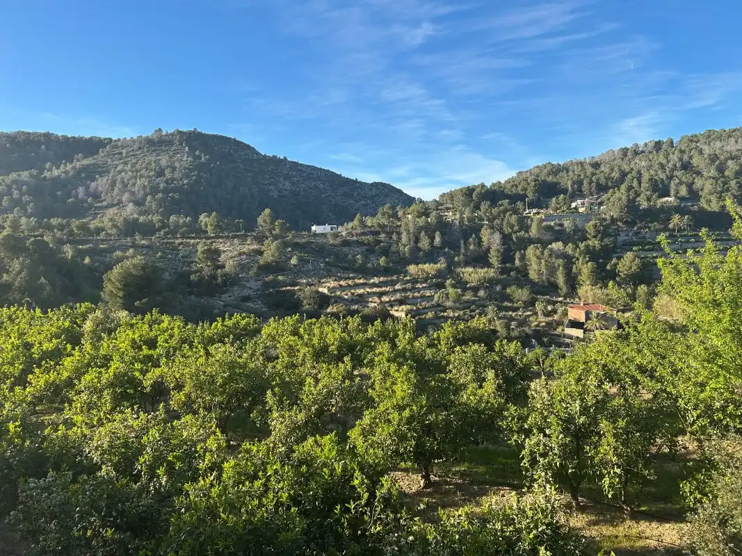 Vista exterior de Finca rústica en venda en Oliva amb Moblat
