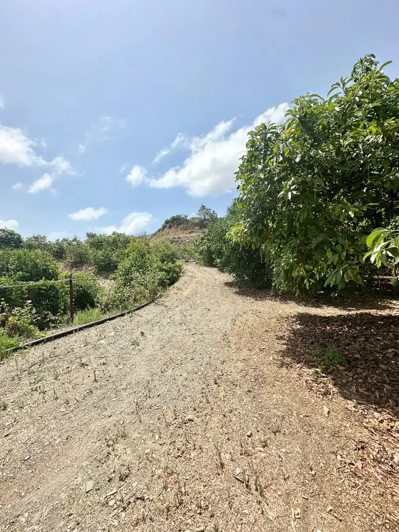 Country homes for sale in Benamocarra  with Private garden, Storage room and Swimming Pool