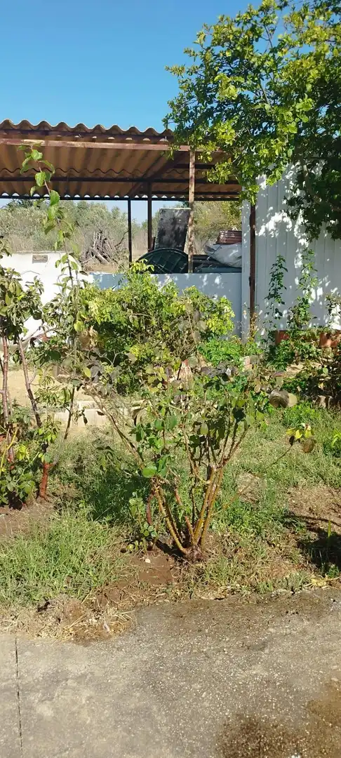 Terreno en venta en Puerto Real