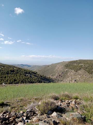 Finca rústica en Venta en N/A en Velefique