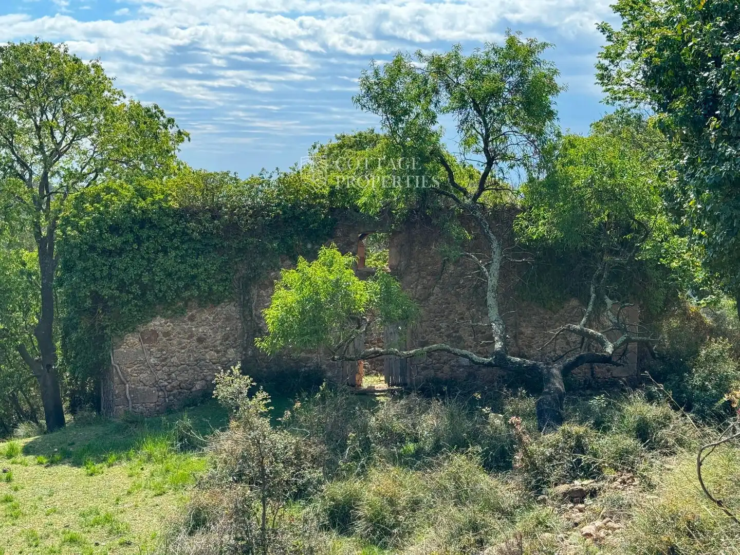 Finca rústica en venda en Cabanelles