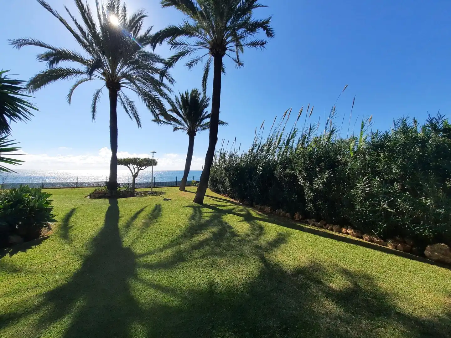 Apartament amb piscina en venda a Seghers, imagen 15