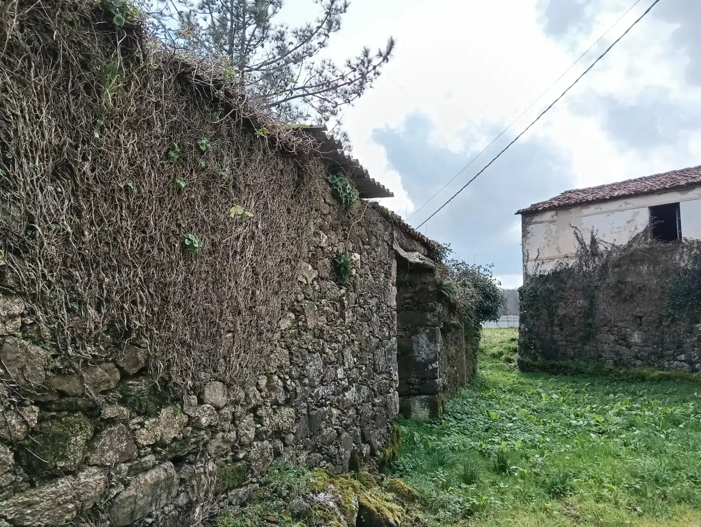 Adossat amb jardí en venda a Avenida Principal, imagen 7