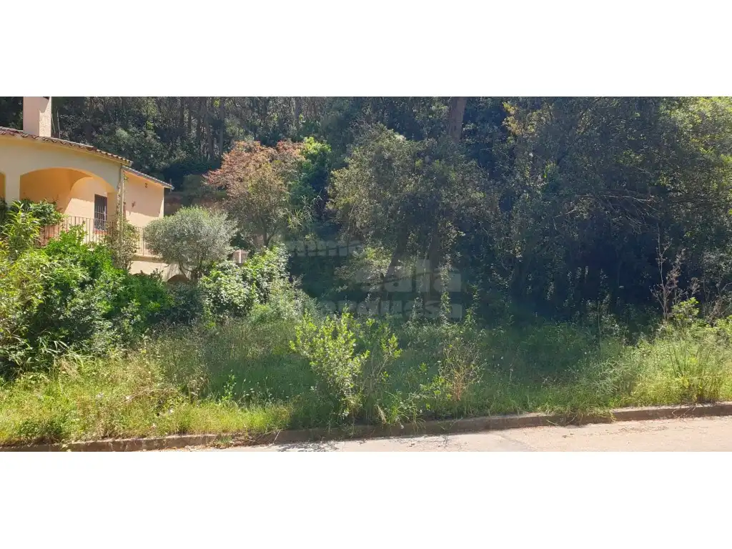 Terrain résidentiel à vendre à Platja de Pals, imagen 6