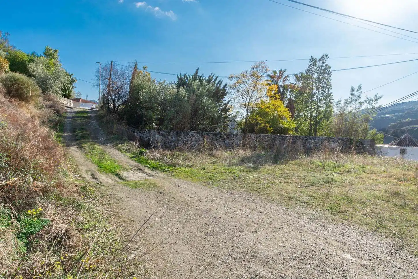 Terreny rústic en venda a Canillas de Albaida