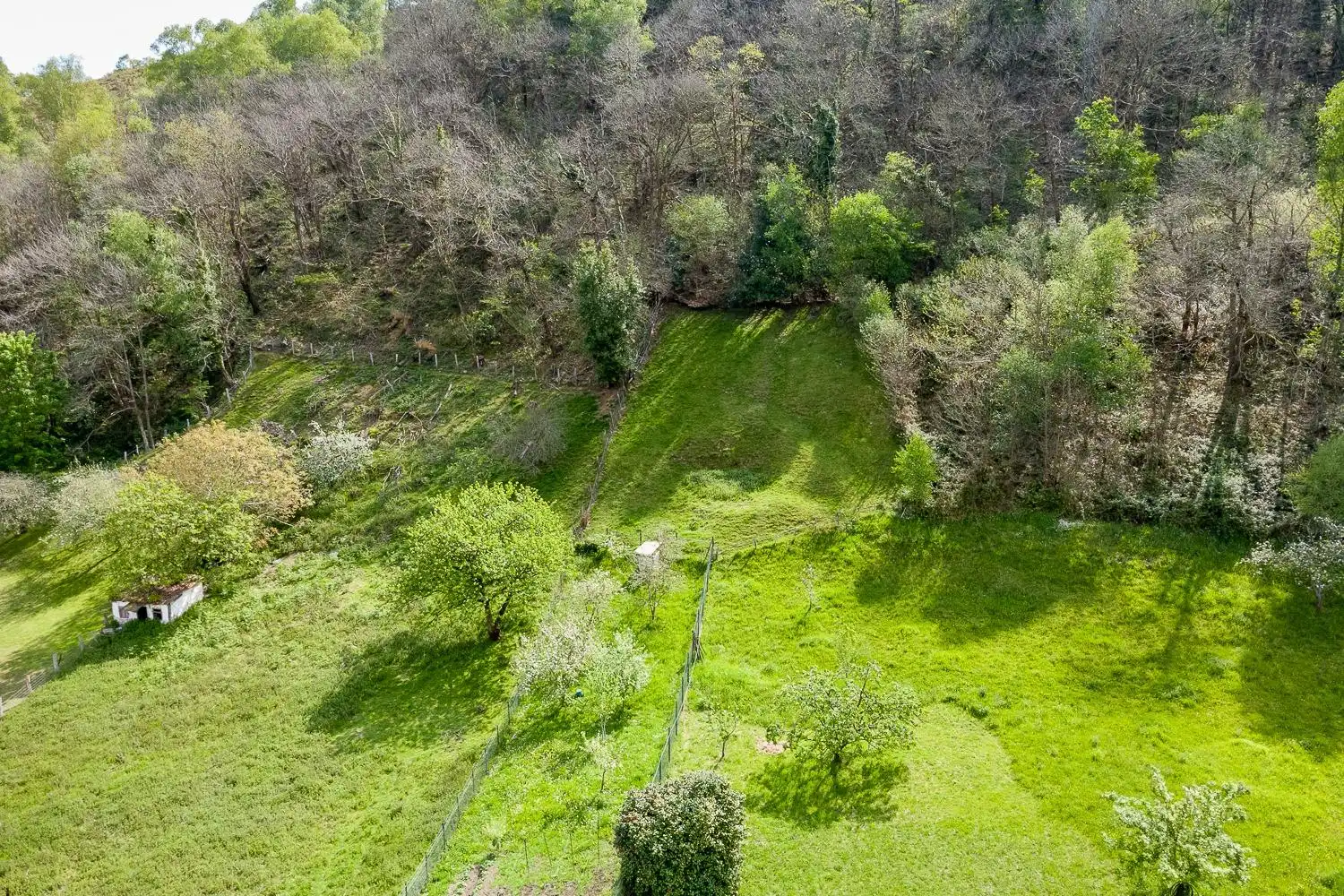 Land for sale in Mieres (Asturias)