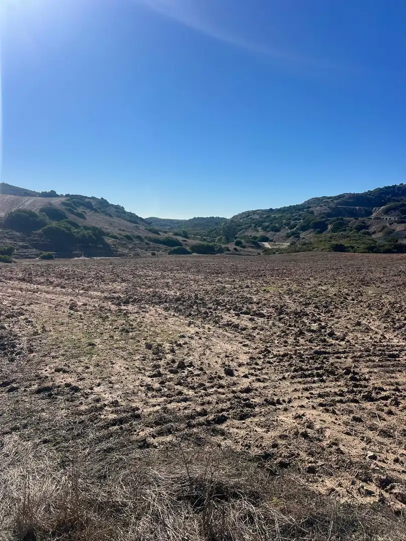 Terreny rústic en venda a Medina Sidonia, imagen 5