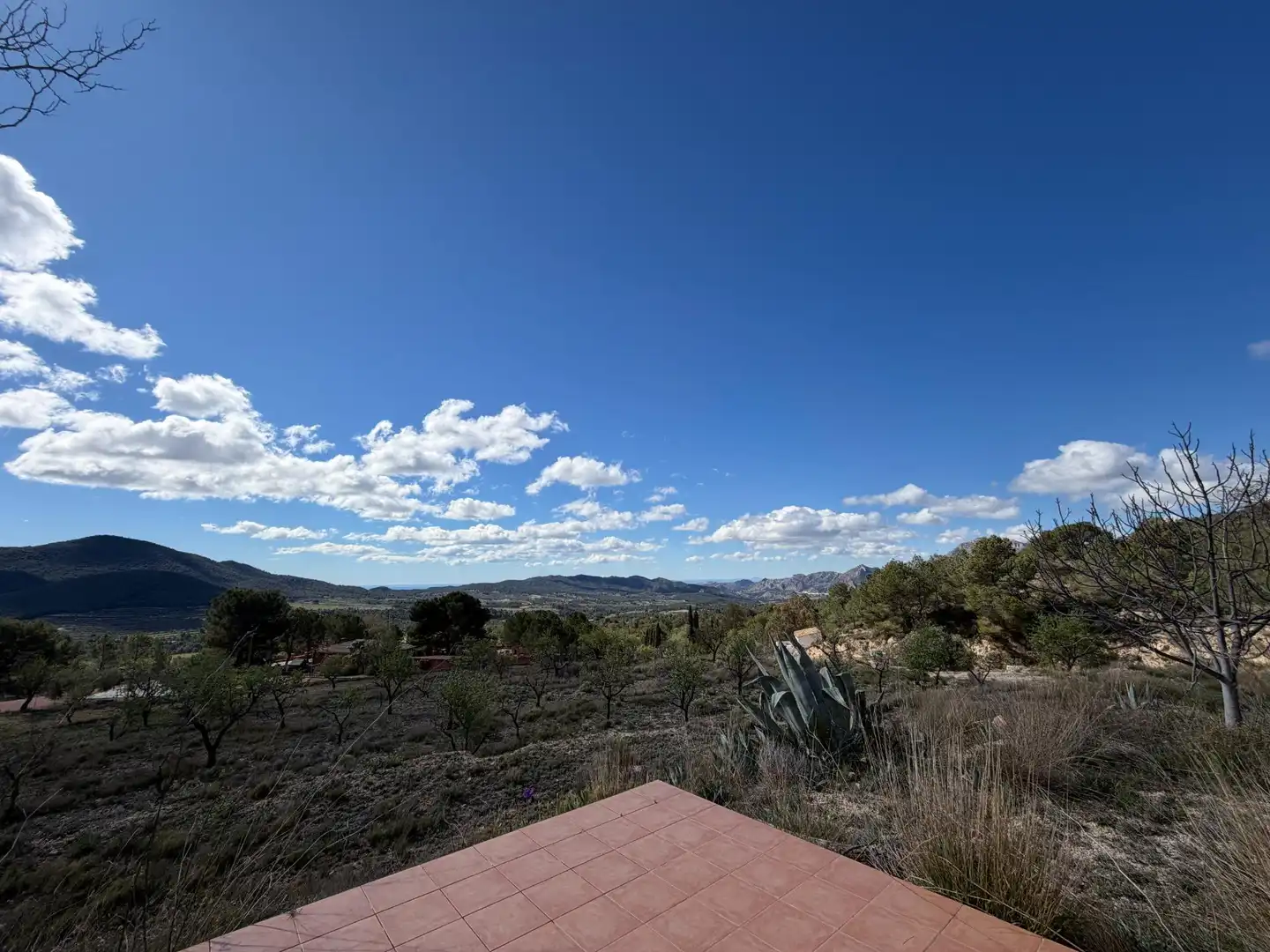 Casa o chalet en venta en Polígono 4 Paraje 139 LENTISCAR, 36, Jijona / Xixona