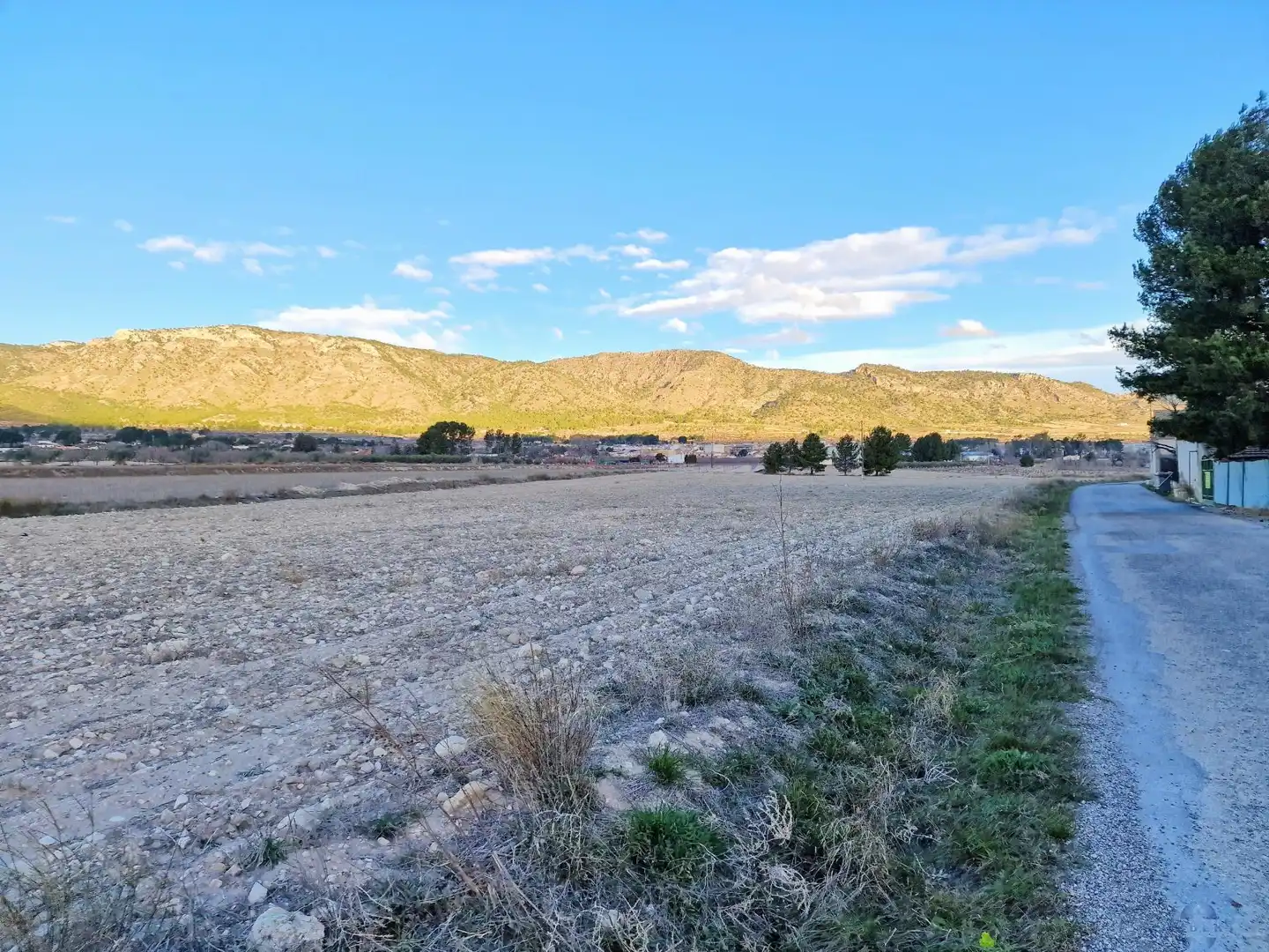 Terreni e lotti in vendita a Monóvar  / Monòver, imagen 3