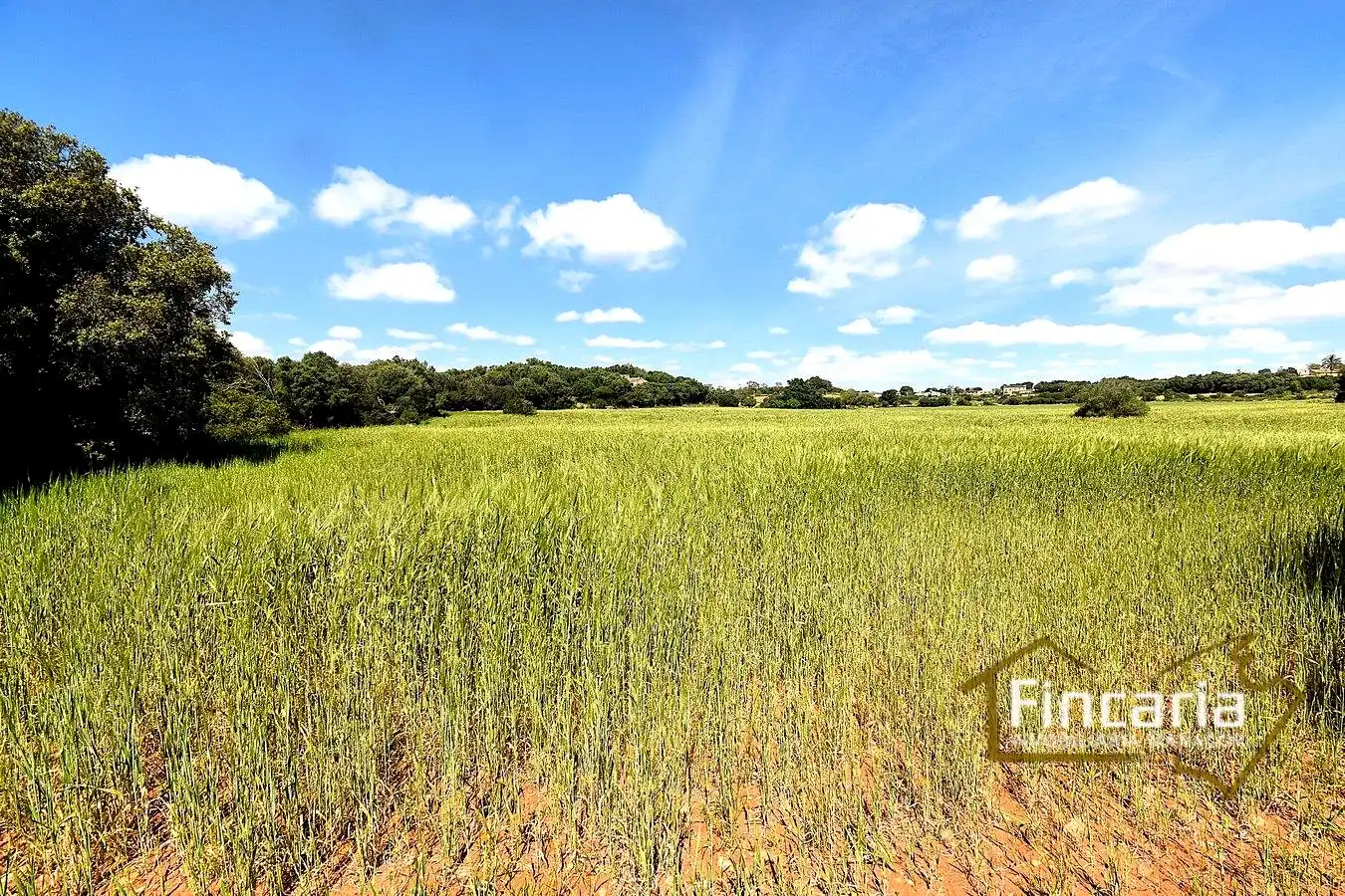Lands and plots for sale in Ma-5120, imagen 10