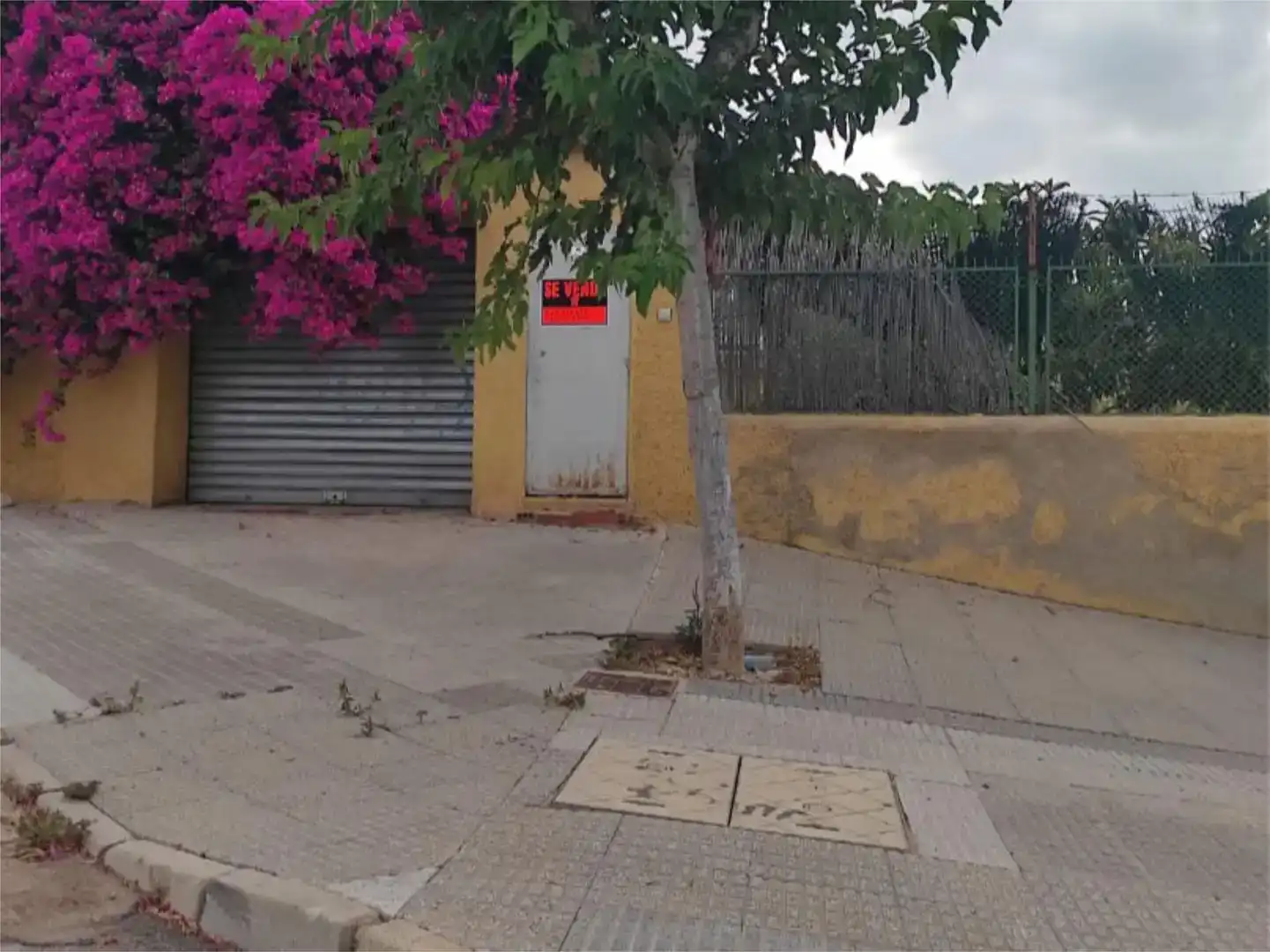Vista exterior de Pis en venda en Murcia amb Aire condicionat, Jardí privat i Traster