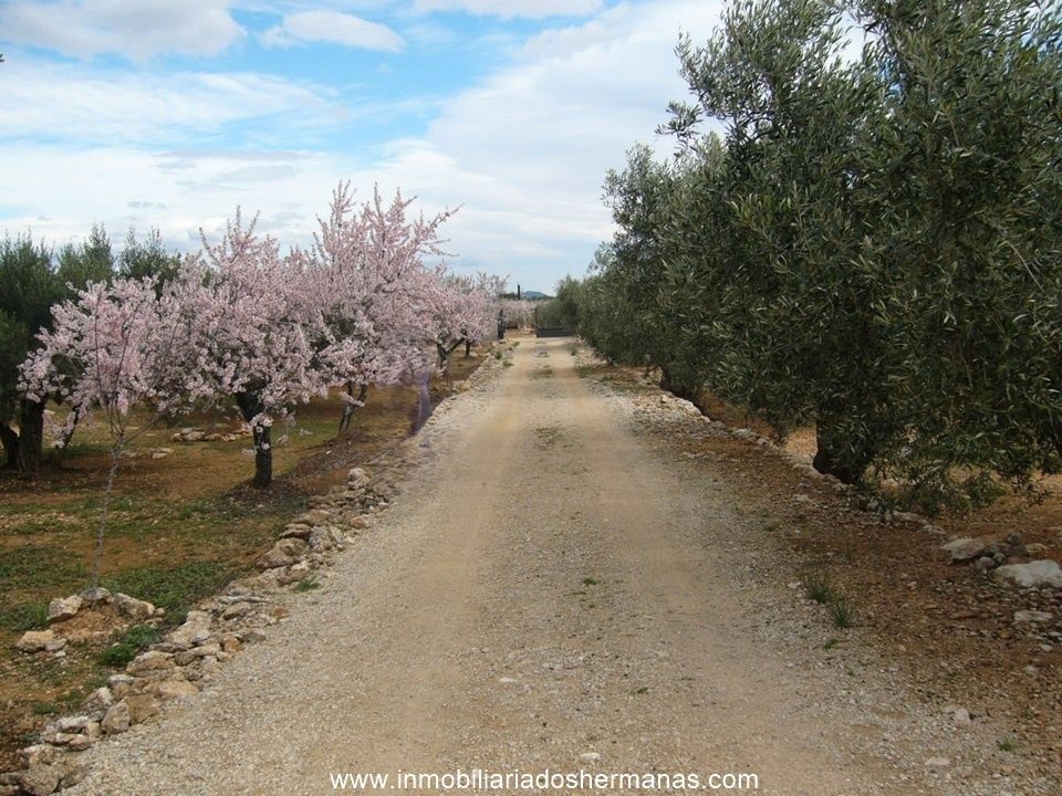 Exterior view of Country house for sale in L'Ampolla