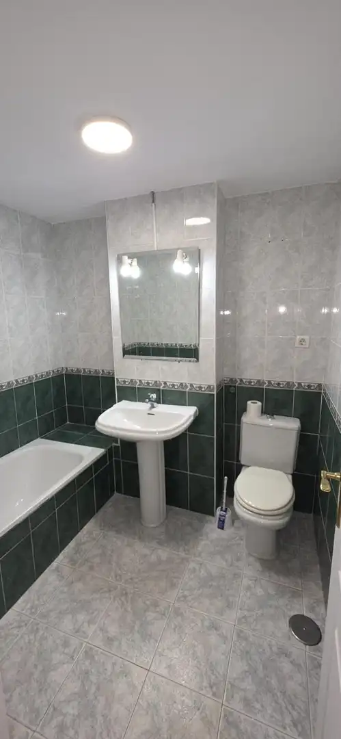 Abitazione con piscina in vendita a Las Lagunas, imagen 18