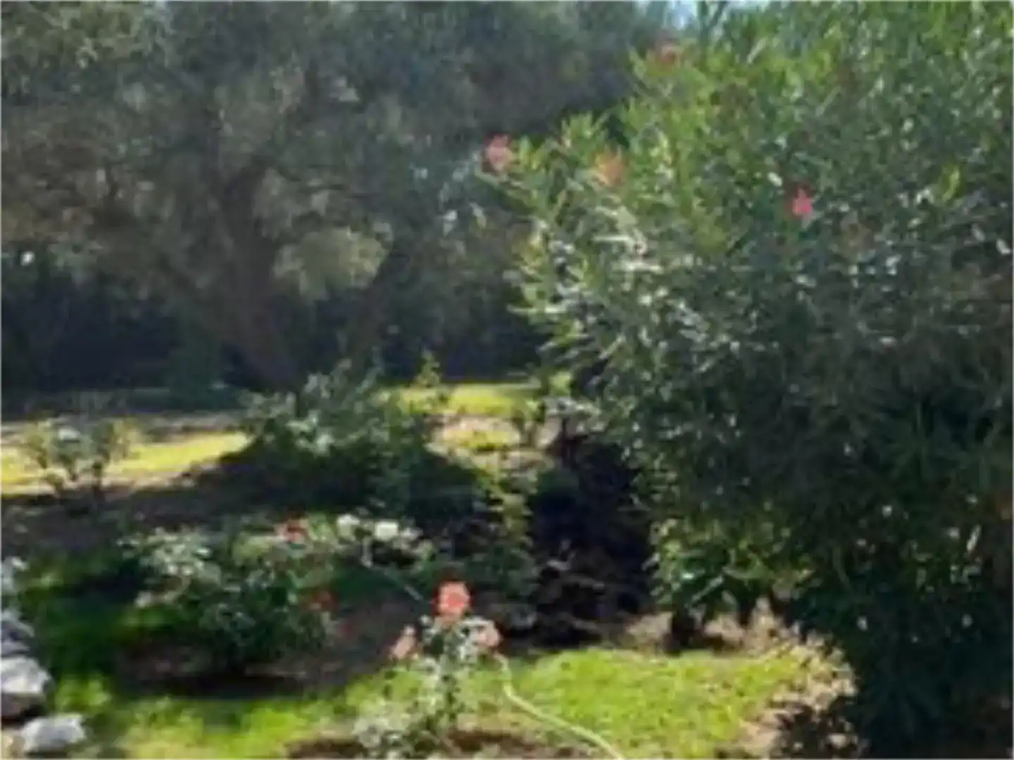Jardí de Finca rústica en venda en Pedrola amb Jardí privat, Piscina i Moblat
