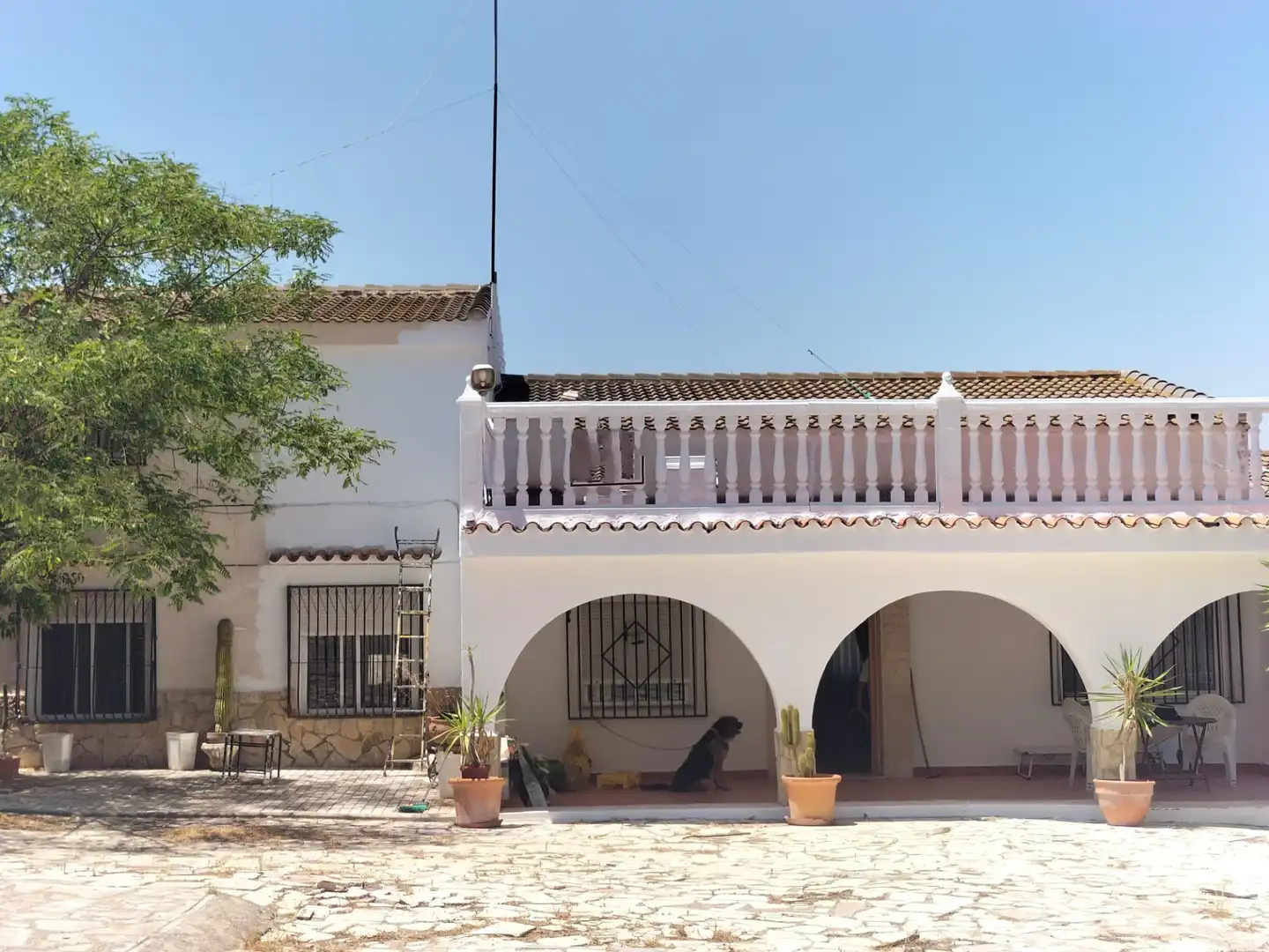 Vista exterior de Casa o chalet en venta en Sax con Jardín privado, Terraza y Trastero