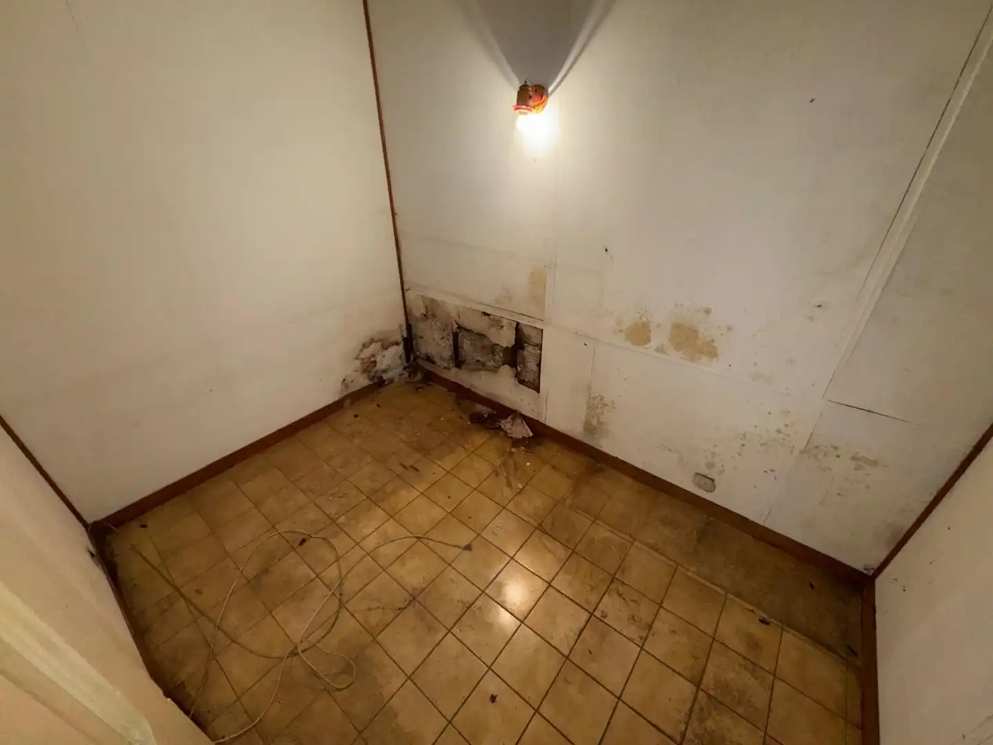 Local comercial de lloguer a ROSSELLO, imagen 6