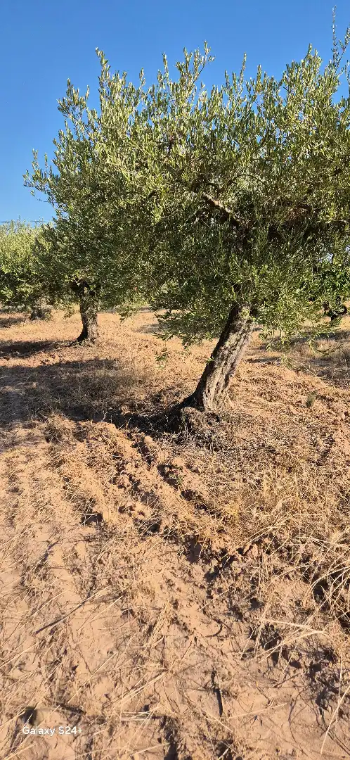 Terreno rústico en venta en Murillo de Río Leza, imagen 2