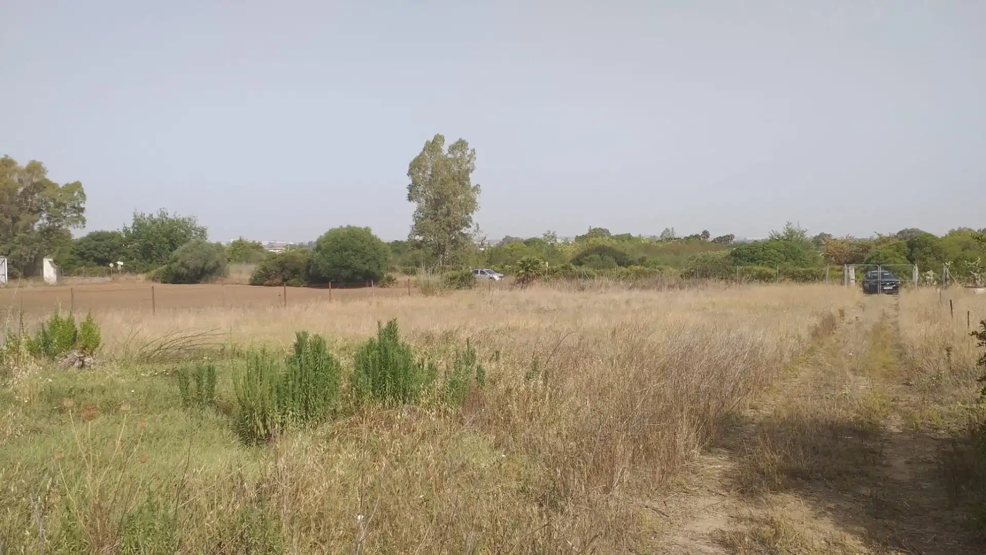 Rural land for sale in El Rocío - La Milagrosa, imagen 2