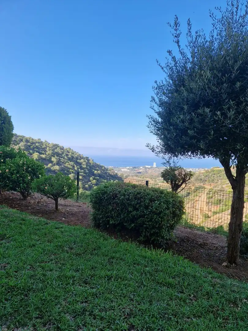 Apartment with pool for sale in Río Real - Los Monteros, imagen 11