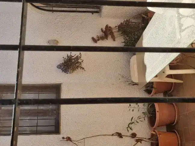 Terraza de Casa o chalet en venta en San José