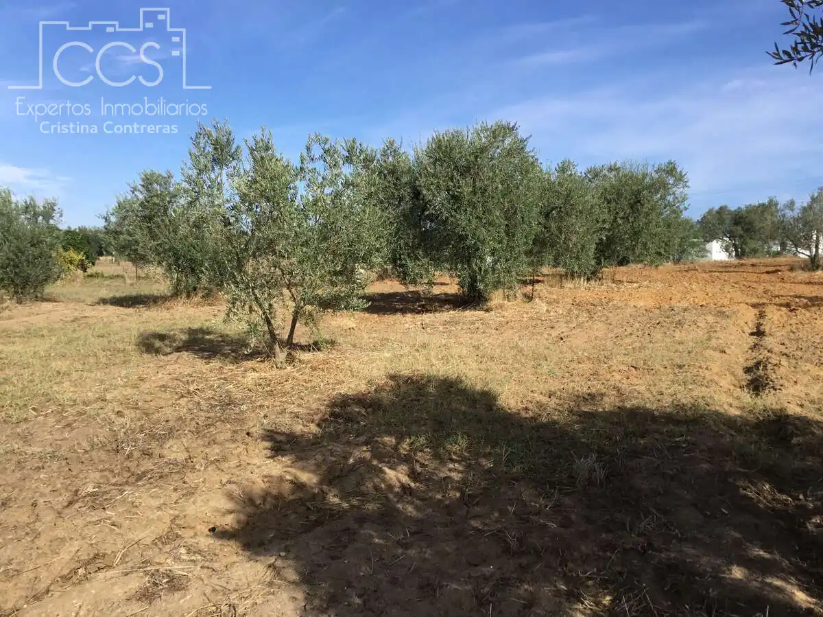 Country house for sale in Almonte ciudad, imagen 8