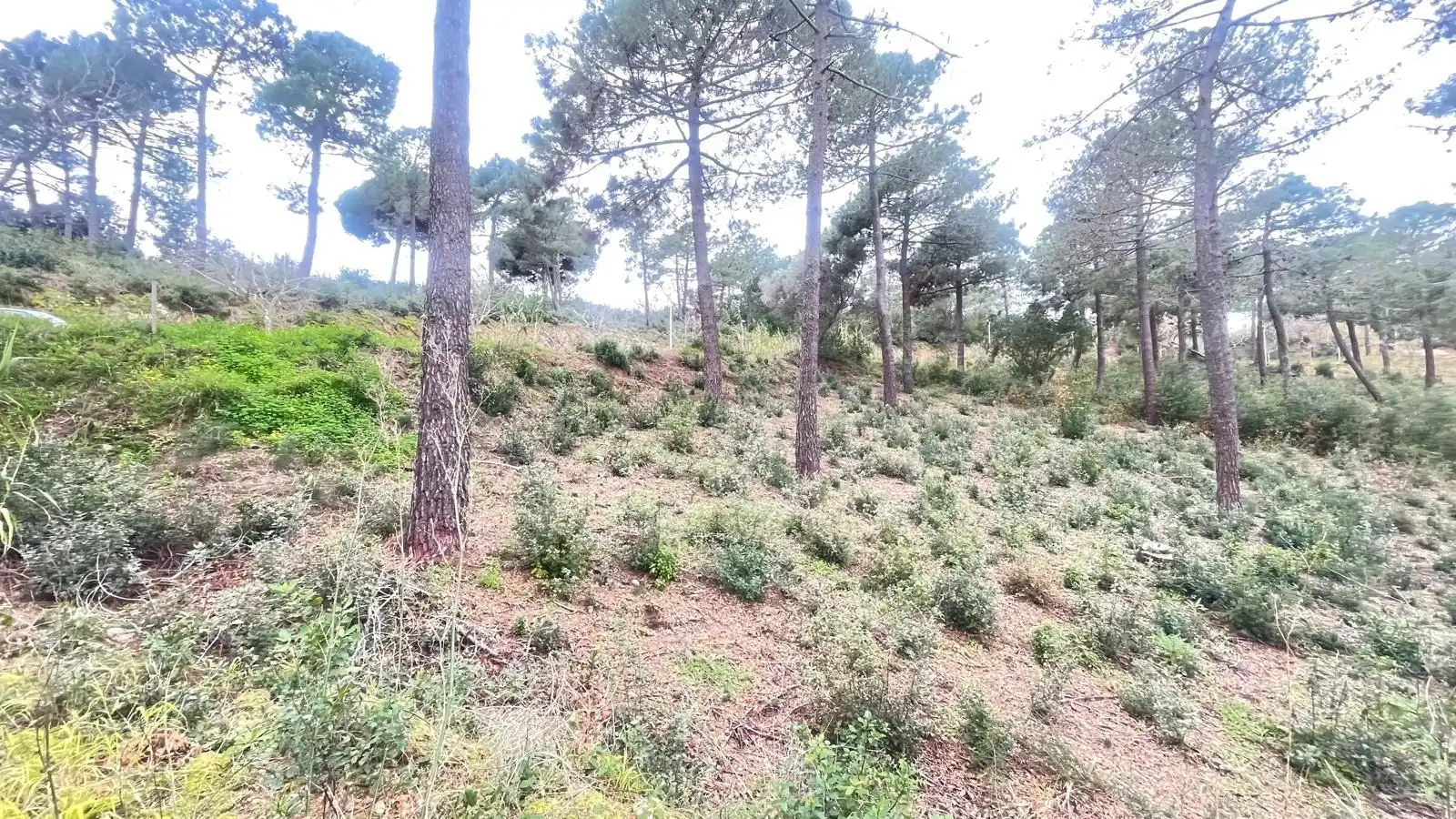 Terreno en venta en Jardins de Sant Pol, imatge 2