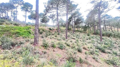 Terreno en venta en Jardins de Sant Pol, imatge 2