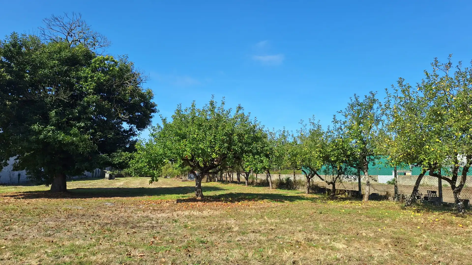 Industrial buildings for sale in Lugo