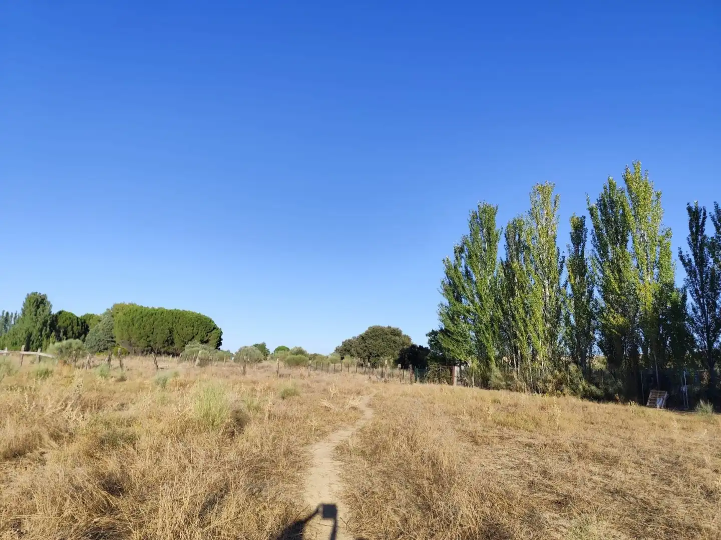 Terreno en venta en Brunete