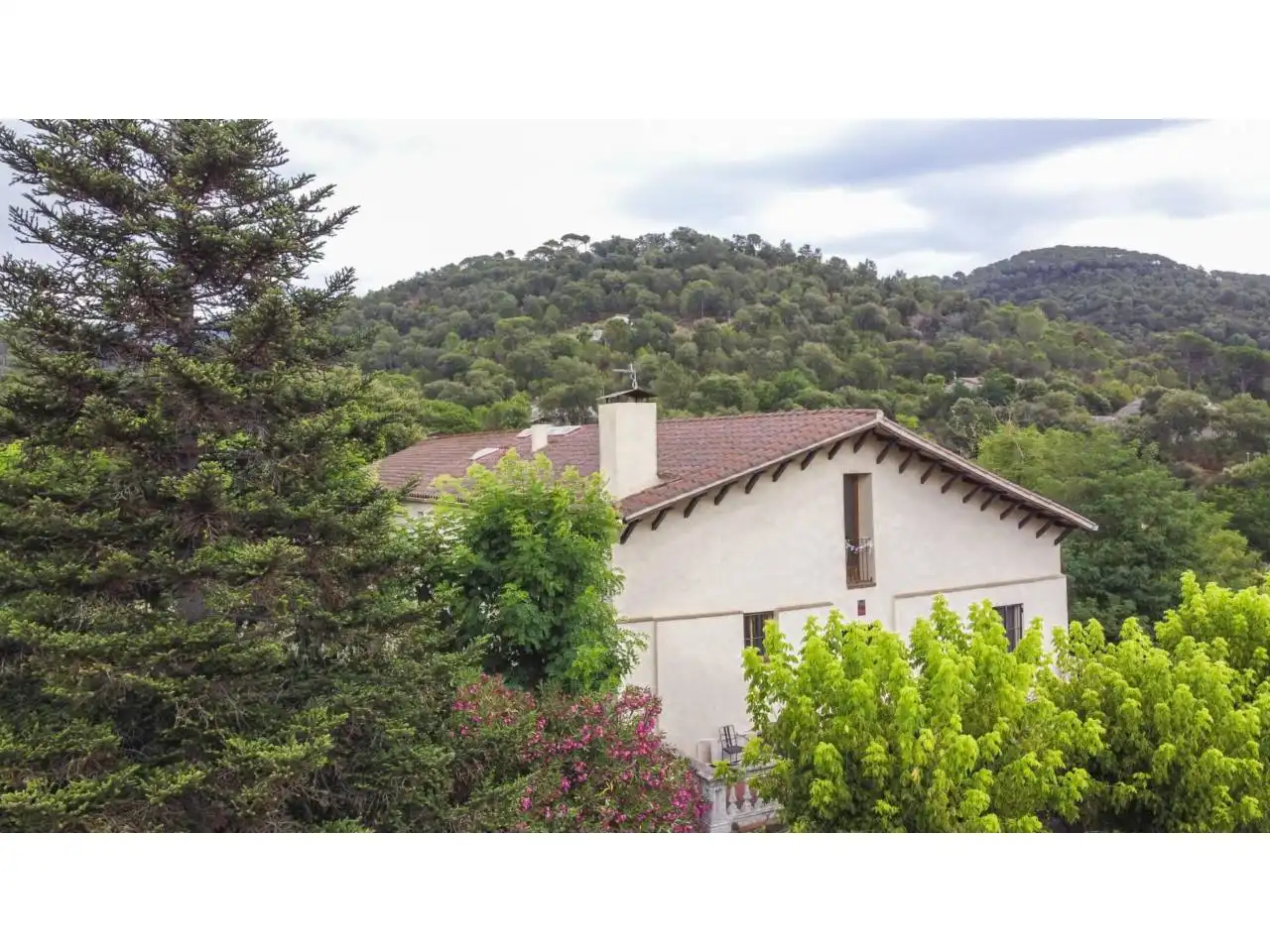 Jardí de Finca rústica en venda en Sant Feliu de Buixalleu