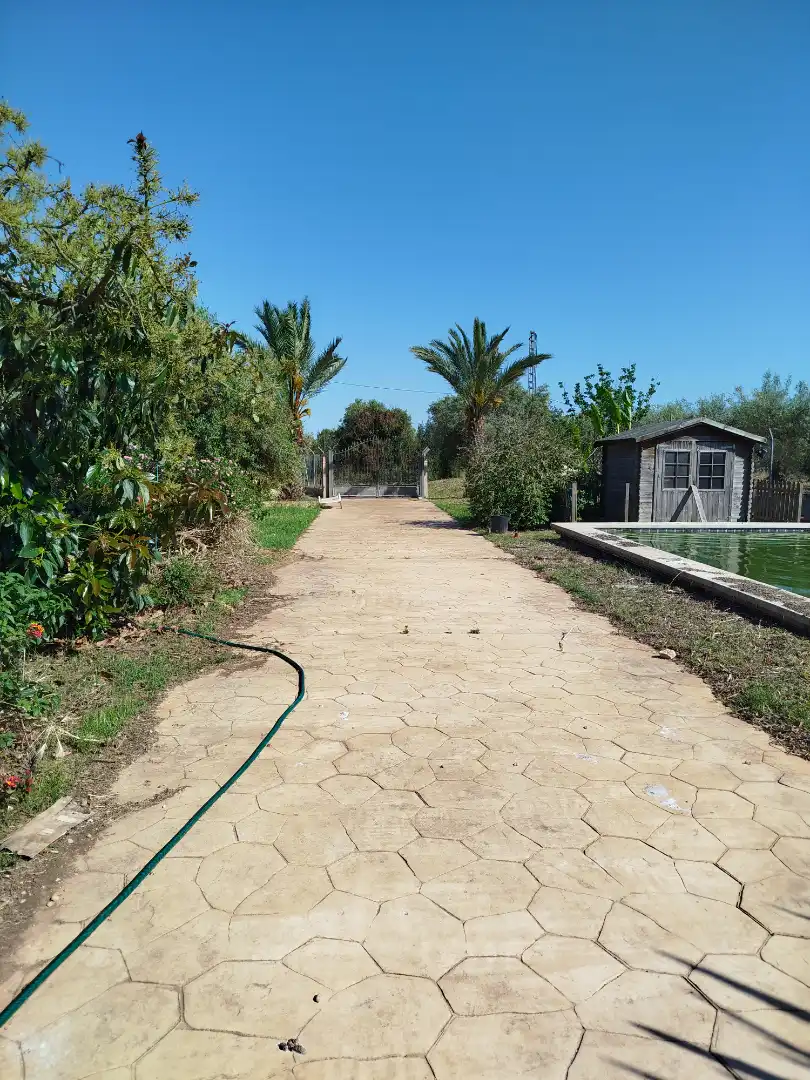 Jardí de Casa o xalet en venda en Benicarló amb Aire condicionat, Calefacció i Jardí privat