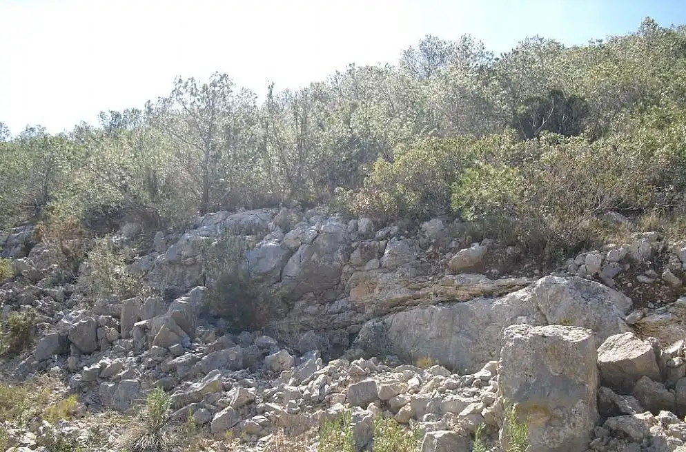 Terreno rústico en venta en Alcossebre, imagen 9