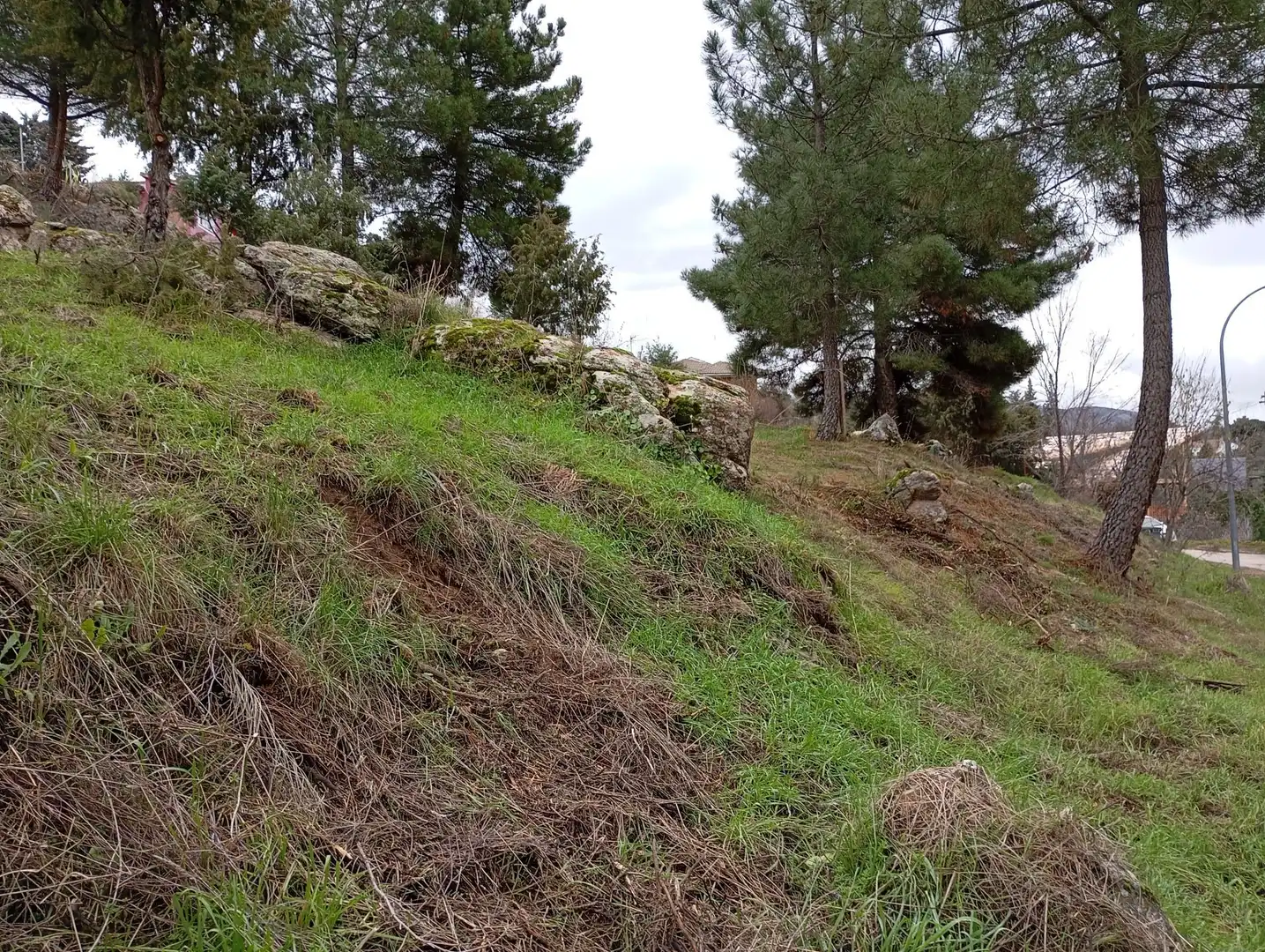 Terreni e lotti in vendita a Robledo de Chavela, imagen 13