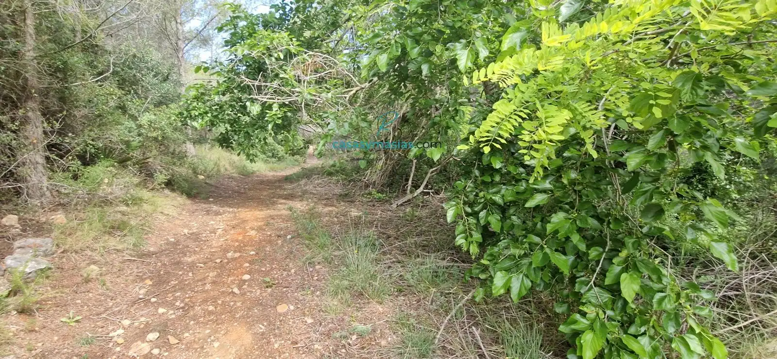 Finca rústica en venta en El Montmell con Jardín privado, Terraza y Balcón
