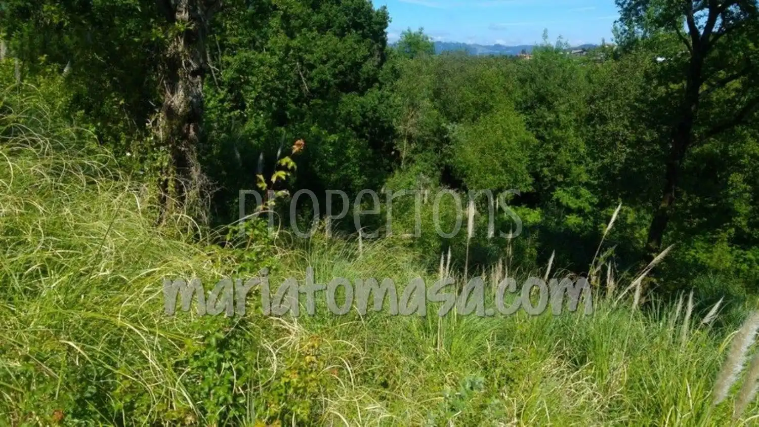 Lands and plots for sale in Mungia, imagen 5