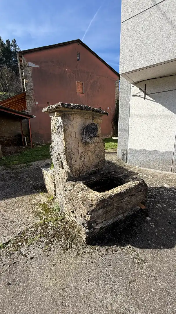 Jardín de Casa o chalet en venta en Becerreá con Amueblado