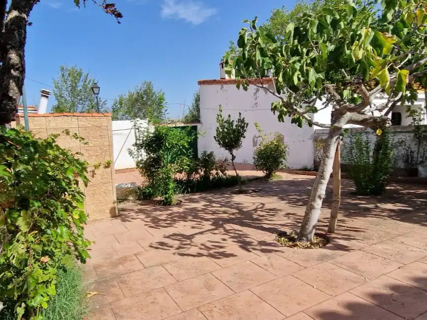 Jardí de Casa o xalet en venda en Prado de Somosaguas - La Finca