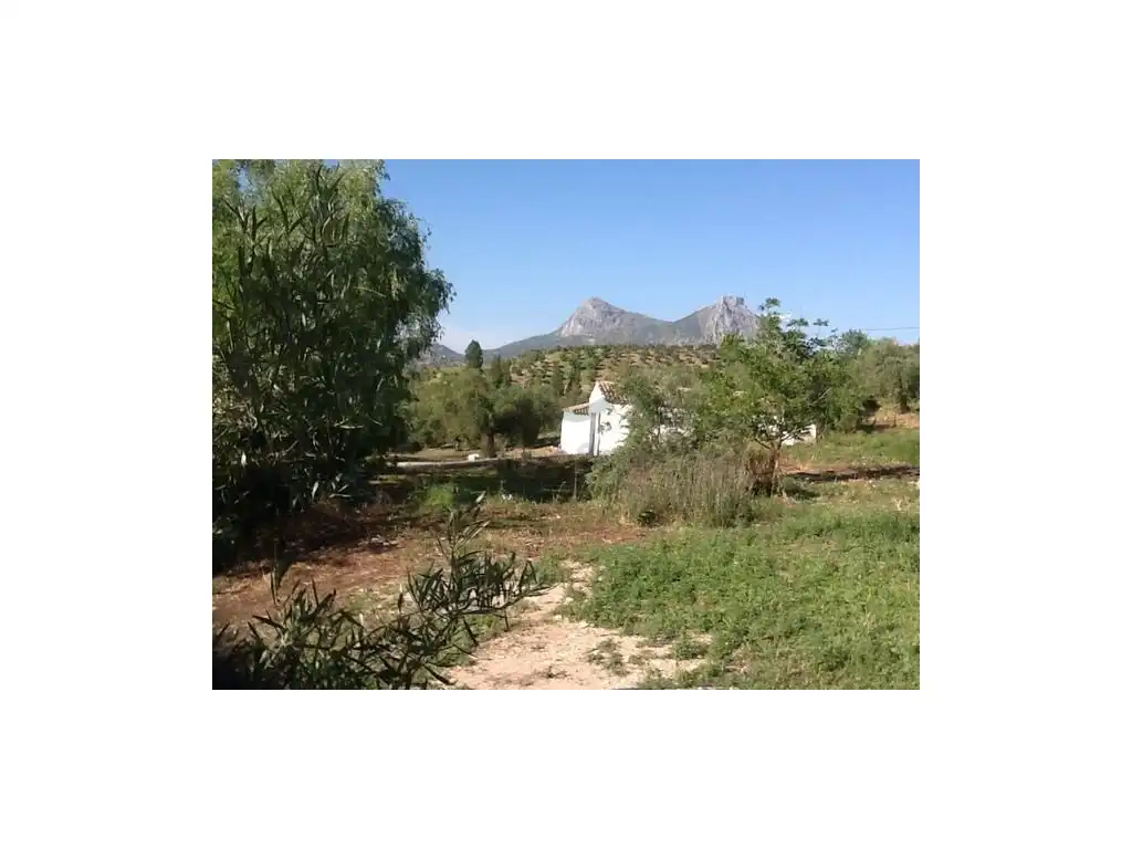 House for sale in Zahara, imagen 6