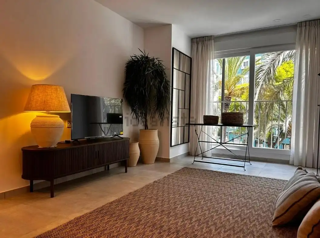 Living room of Flat for rent in Alicante / Alacant  with Air Conditioner, Heating and Furnished