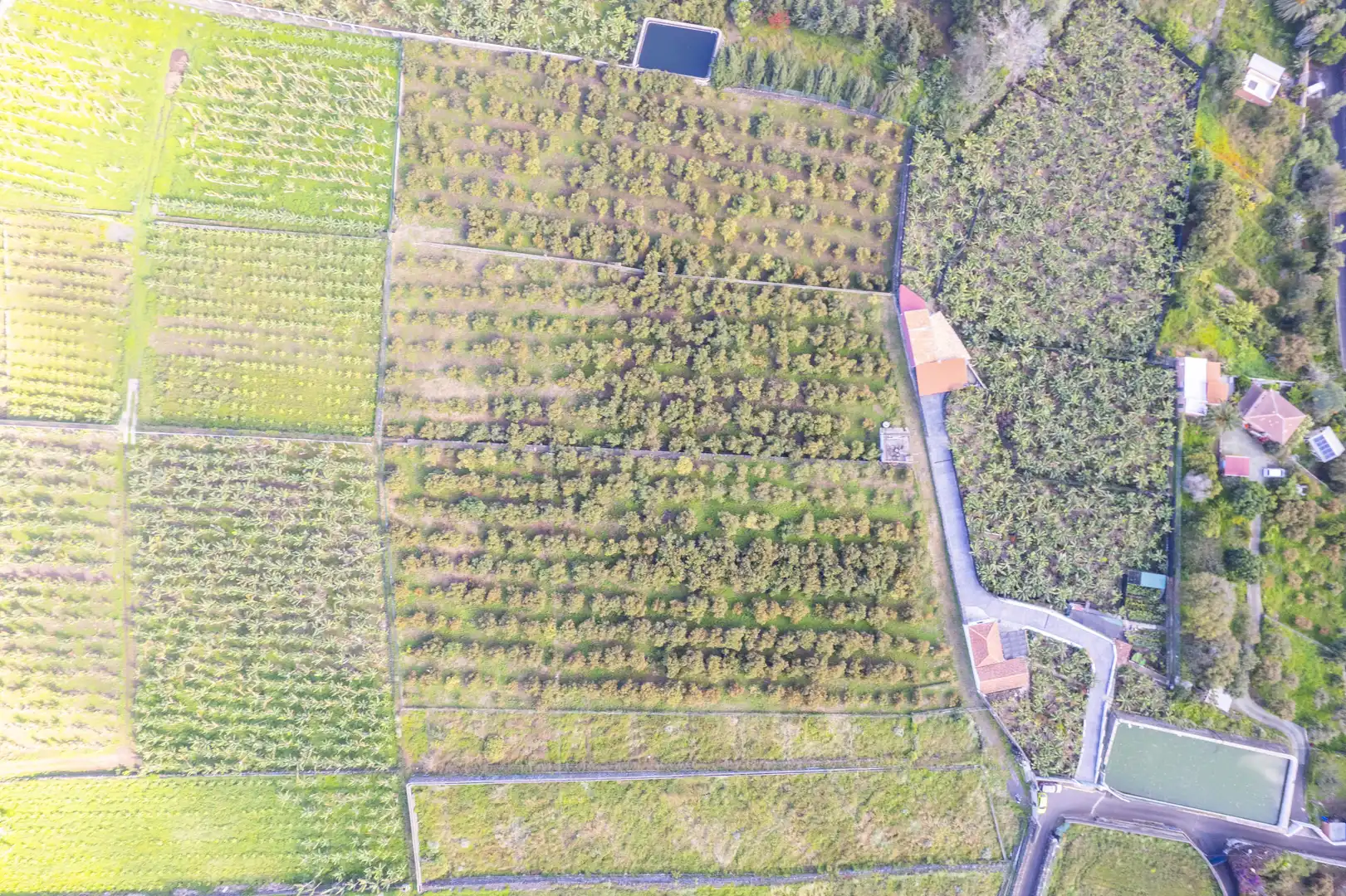 Land for sale in La Orotava