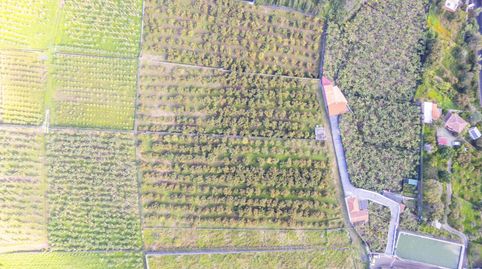 Photo 3 of Land for sale in Camino la Cisterna, -1, Las Cuevas - Los Gómez, La Orotava