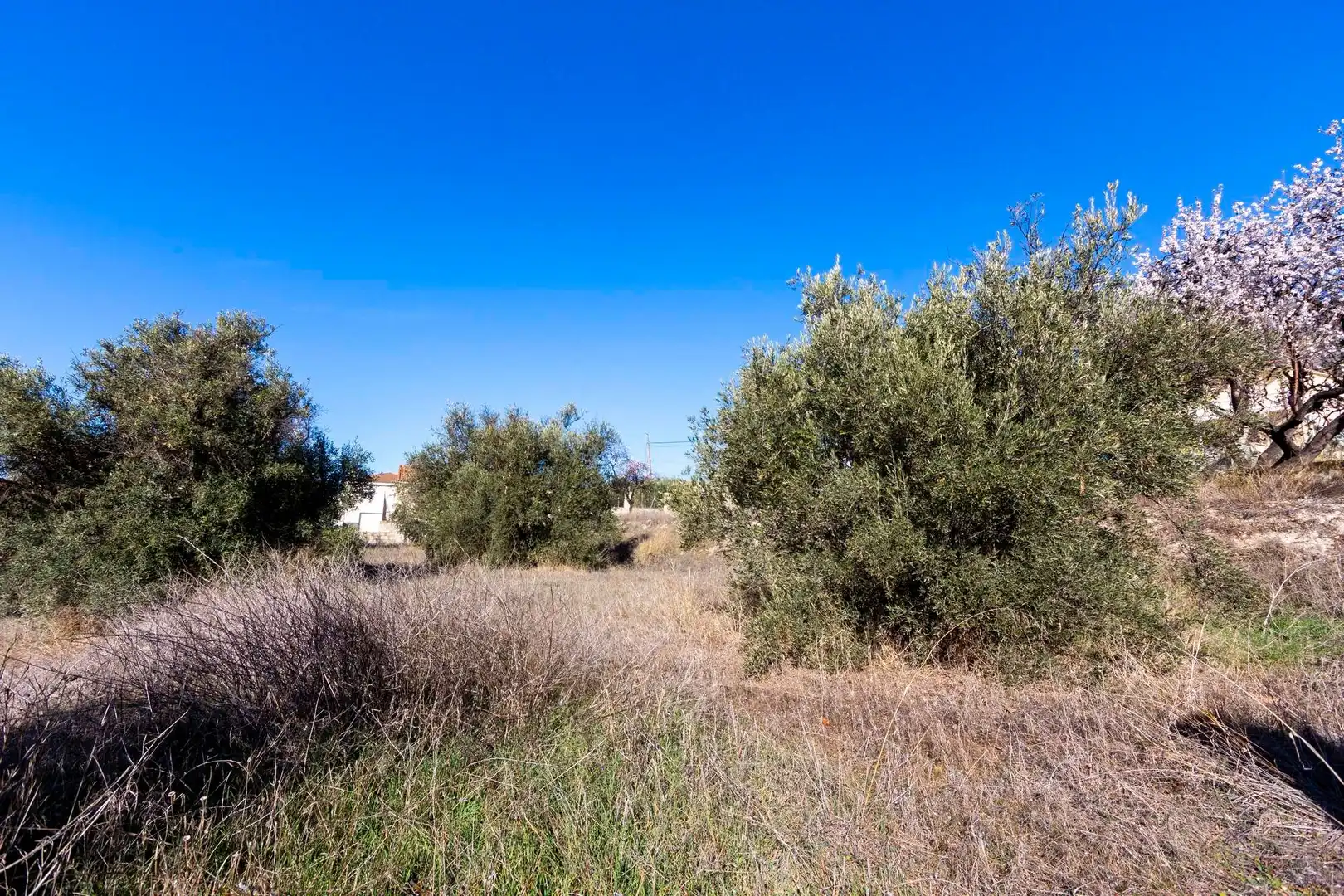 Residential land for sale in Avenida de Andalucía 201, imagen 6